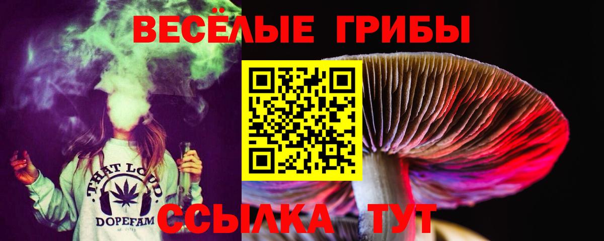 Ростов Великий  Галлюциногенные грибы Psilocybine cubensis  Вход с VPN 